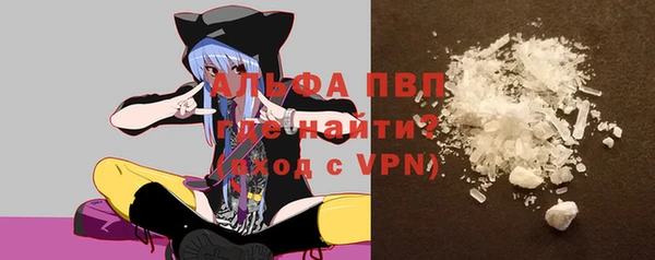 индика Приозерск