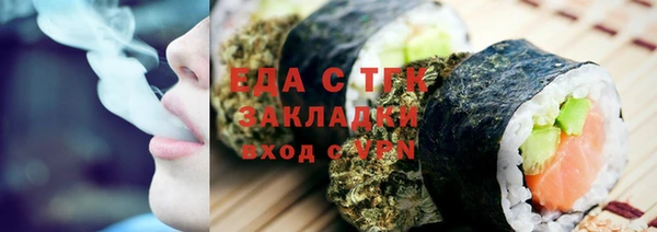 индика Приозерск