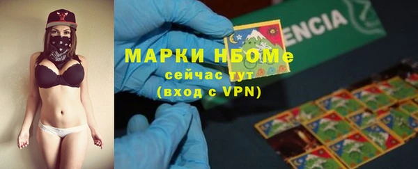 стаф Сафоново