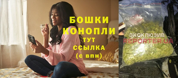 стаф Сафоново