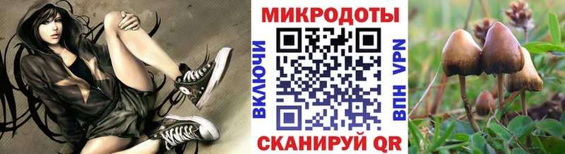 Купить  Камень-на-Оби  Псилоцибиновые грибы Magic Shrooms 
